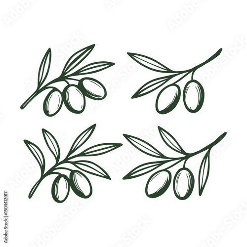 Set of olive branches. Hand drawn in doodle style. Vector isolated on white background.