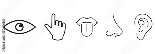 Human sense icons. Human senses vector icon. hand, eye, ear, nose, mouth Human sense icons. Five human senses icons. Vision smell hearing touch taste senses filling, Vector 
illustration.