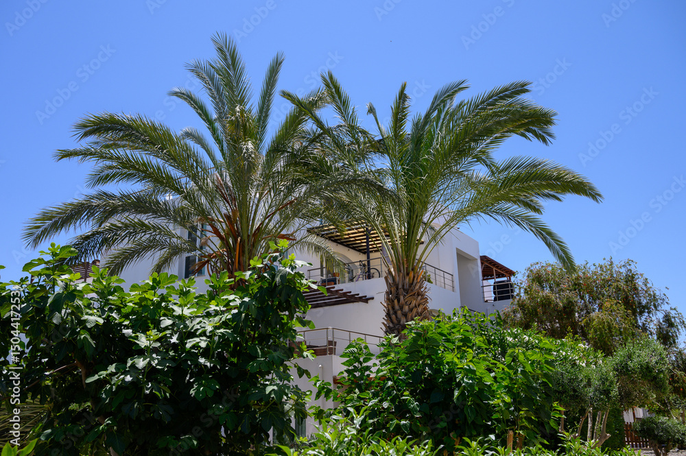 Fototapeta premium White villas with tropical greenery in a quiet residential area on Northern Cyprus.
