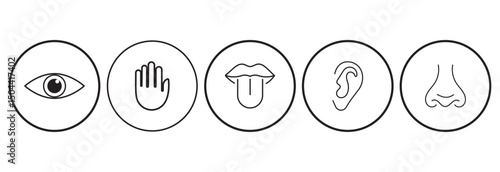 Five human senses editable stroke outline icons set isolated on white background flat vector illustration. Simple line icons and black circle. Five senses of human nervous system. Vector illustration.