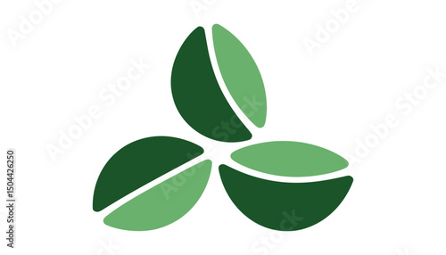 Eco Leaf Icon Isolated on White Background