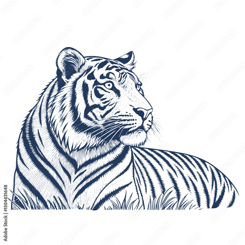 Fototapeta premium engraving owl, vector line art illustration, isolated on white background, illustration, tiger, vector, vintage, art, graphic, design, ink, retro, nature, animal, wild, drawing, 