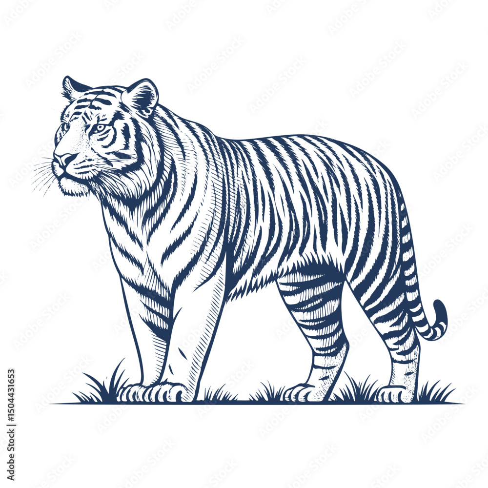 Obraz premium engraving owl, vector line art illustration, isolated on white background, illustration, tiger, vector, vintage, art, graphic, design, ink, retro, nature, animal, wild, drawing, 