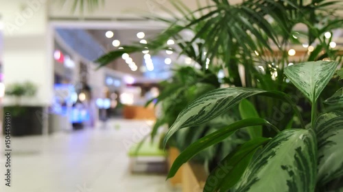 Experience the beauty and aesthetic charm of lush indoor plants in the modern interior of the entertainment shopping complex