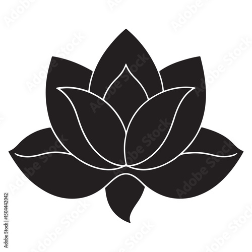 Set of beautiful pink magnolias in cartoon style. Vector illustration of spring and summer flowers in large and small sizes with closed and open buds with green leaves on a white background.