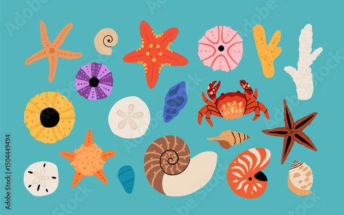 Seashells vector set. Collection of flat, cartoon modern flat icons of molluscs sea shells, starfish, sea urchin, crab, coral. Trendy coral reef under water collection isolated on white