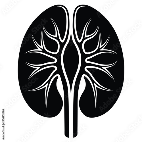 Stylized black and white human kidney anatomy illustration