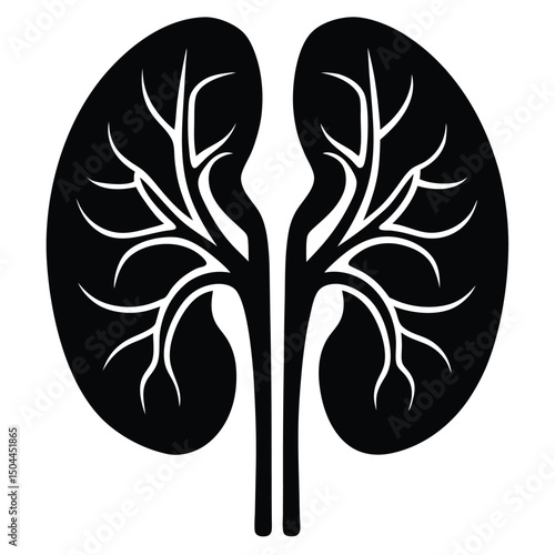 Stylized black and white human kidneys medical illustration