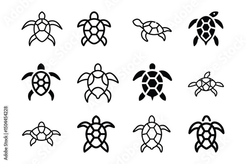 Set of turtle marine animal icon vector illustration on white background.