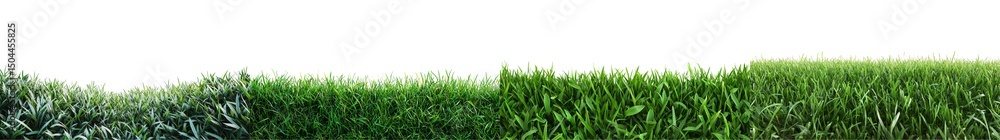 Obraz premium Lush Green Grass Landscape with Vibrant Texture and Natural Elements in Sunlight