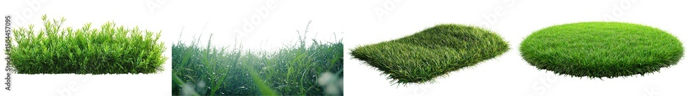 Obraz premium Varieties of Fresh Green Grass with Different Textures in a Nature Background