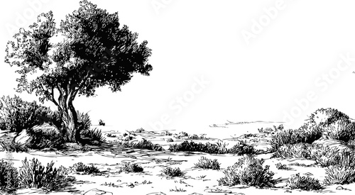 Scenic black and white landscape with trees and shrubs in a desert setting. Vector illustration