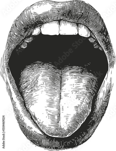 Detailed black and white drawing of an open mouth with tongue exposed, engraving style. Vector illustration