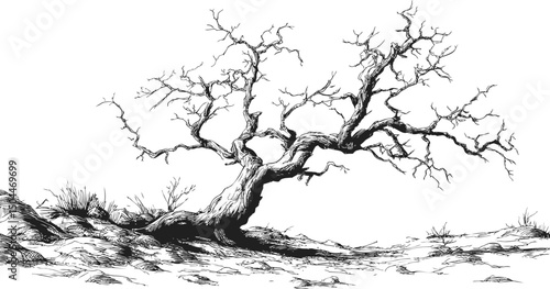 Illustration of a twisted barren tree on desolate landscape in monochrome. Vector illustration