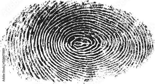 Black and white detailed fingerprint texture as a security concept. Vector illustration