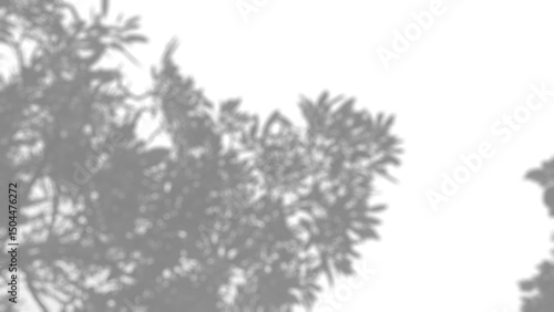 leaf shadow overlay, Mysterious dark abstract texture reveals jagged silhouette shape. This monochrome design creates compelling shadow overlay evoking depth and intrigue ideal for striking background