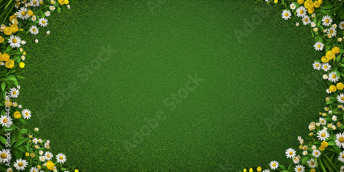 Meadow with green grass and white , yellow small daisy flowers . Top view