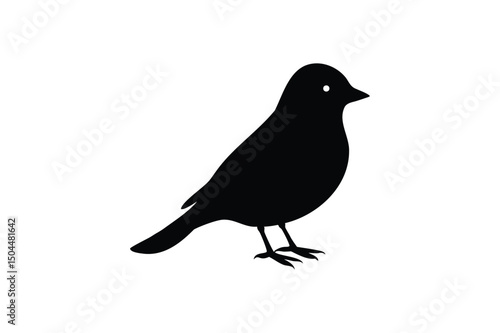 Birds sitting silhouette on white background