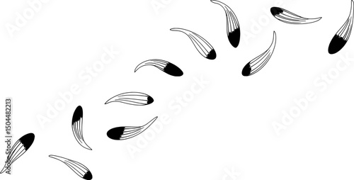 Abstract black and white falling seeds design