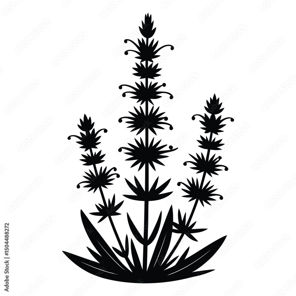 Fototapeta premium Hyssop Silhouette, Vector, Illustration, Icon, Logo, White Background.