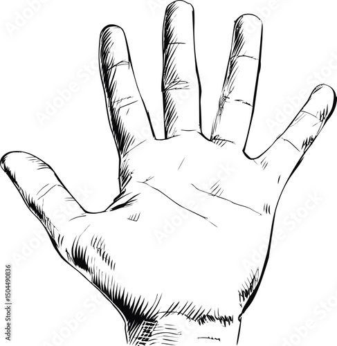 Detailed black and white sketch of an open hand with fingers spread. Vector illustration