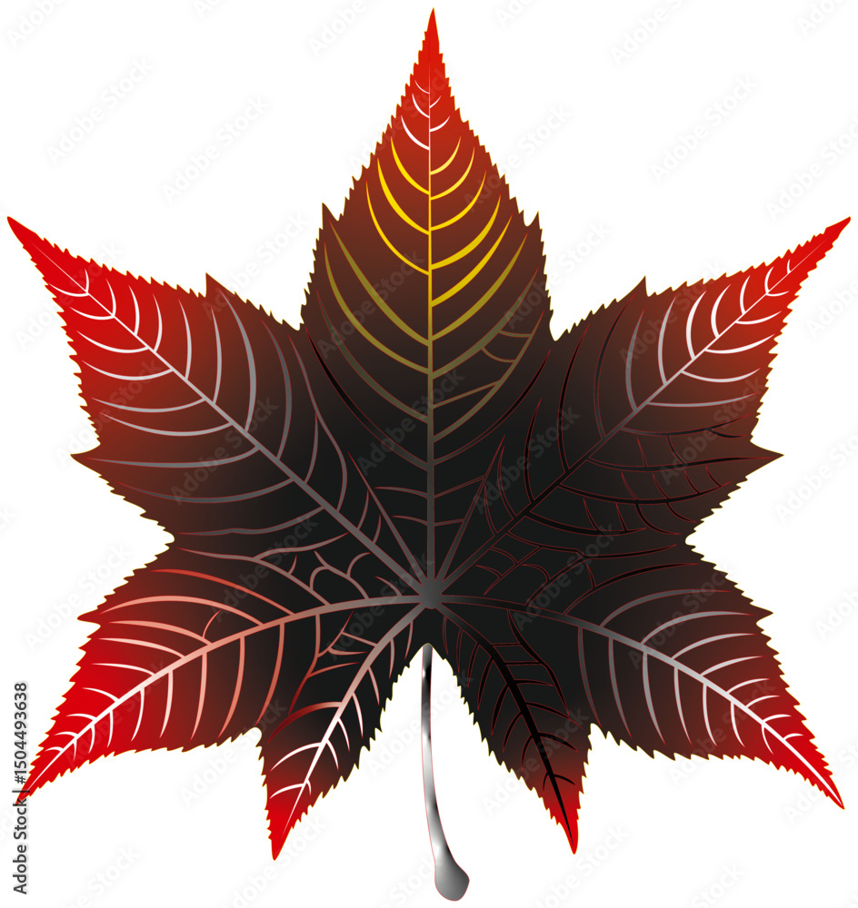 Fototapeta premium Liquidambar leaf illustration, logo, icon or tattoo