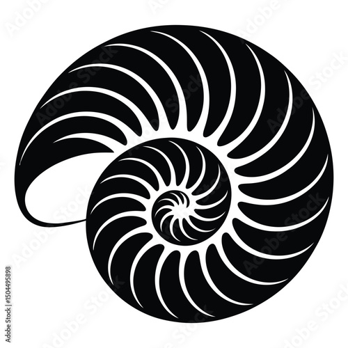Spiral Nautilus Shell Silhouette, Vector, Illustration, Icon, Logo, White Background.