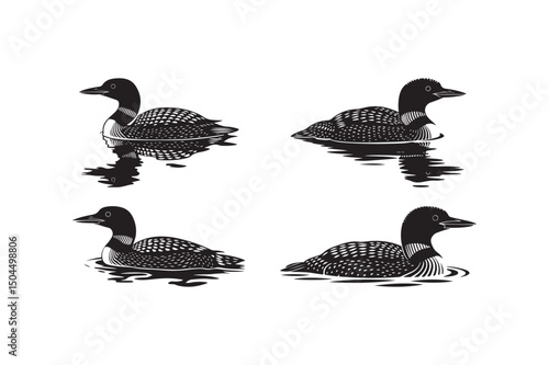 Common Loon Vector Illustrations Black and White Lake Bird Silhouettes