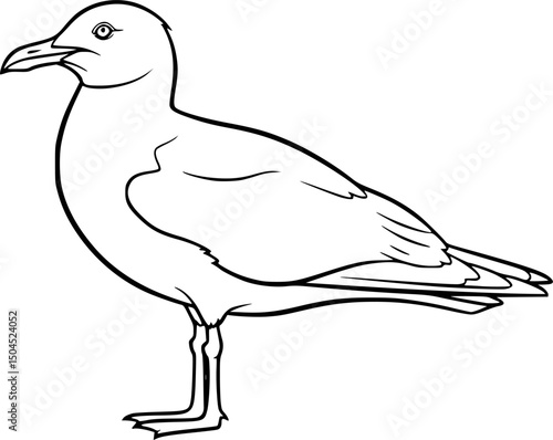 Seagull standing sideways in clean line art style. Features include pointed beak, long wings, and thin legs. Minimalist black outline for coastal, nature seaside graphics, bird-themed vector designs