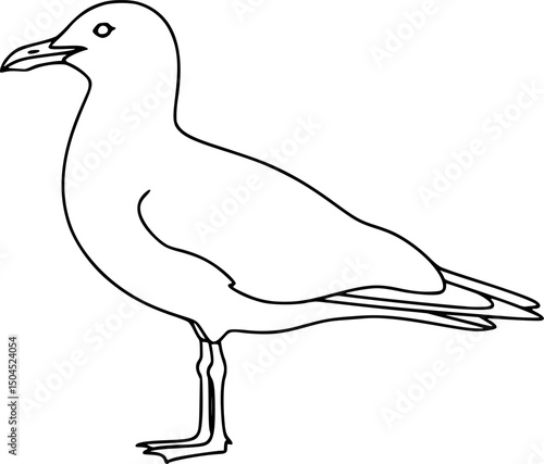 Seagull standing sideways in clean line art style. Features include pointed beak, long wings, and thin legs. Minimalist black outline for coastal, nature seaside graphics, bird-themed vector designs