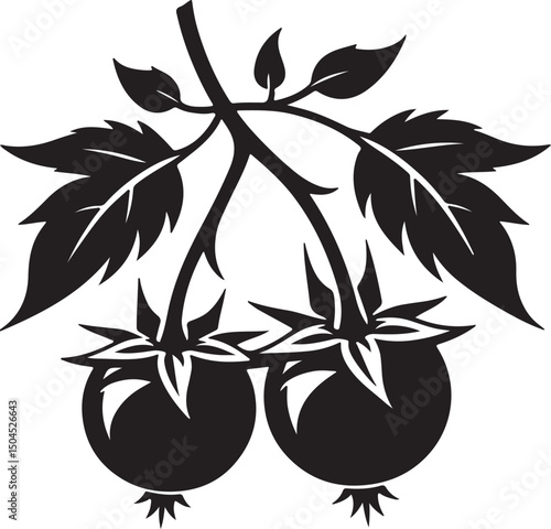 Deadly Nightshade Fruit Black Silhouette Vector, Poisonous Plant Clipart & Gothic Botanical Design