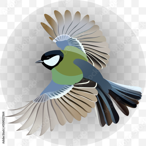 Colorful Bird with Spread Wings Flying with Grace