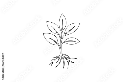 Plant growth process minimalist continuous one line art