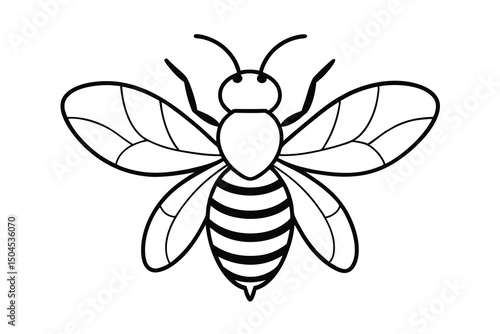 Simple line drawing of a honeybee insect