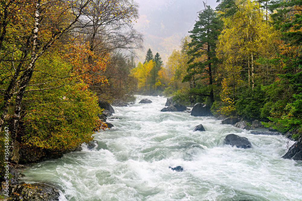 Ara River through the Bujariego Valley, in Ordesa. Spain Ara River through the Bujariego Valley, in Ordesa. Spain