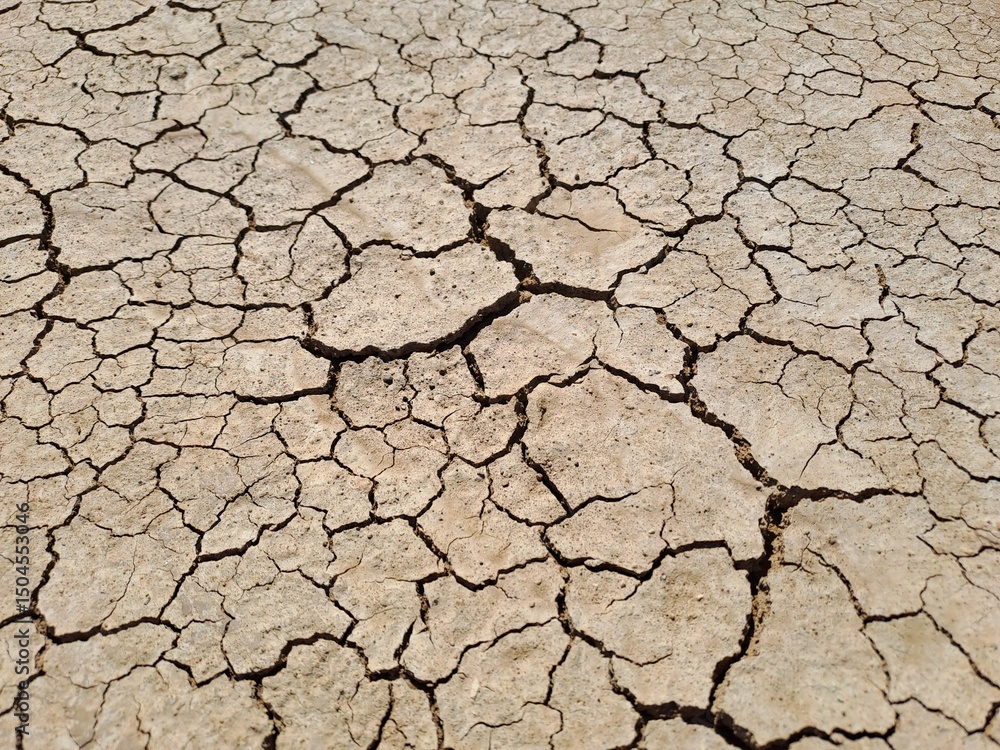 cracked earth background cracked earth background