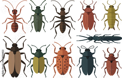 Vector illustration of colorful beetles and ants in a flat design style on white.