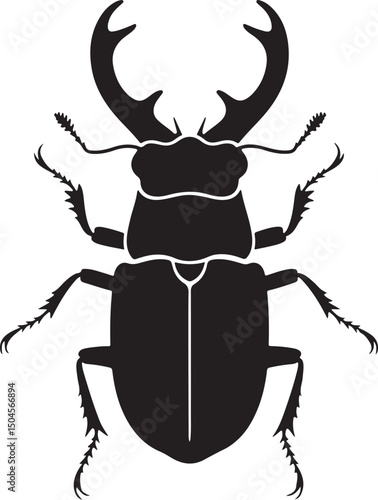 stag beetle isolated on white background