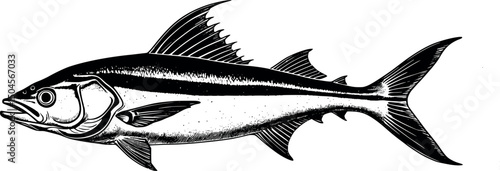 Swordfish in stylized engraving illustration white background