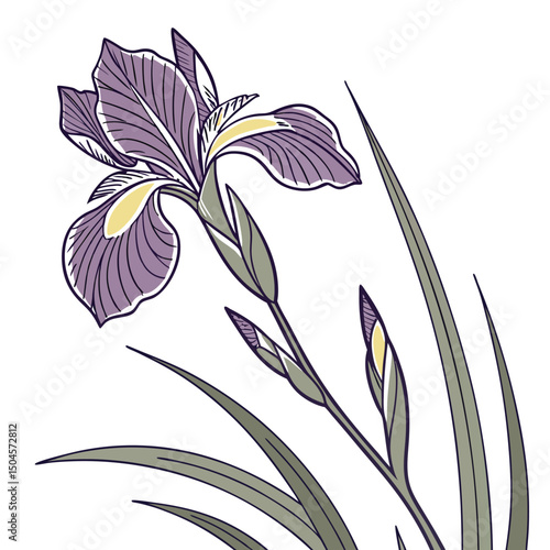 Iris flower vector art on white background. iris icon logo, iris flower art, Adobe Illustrator Artwork