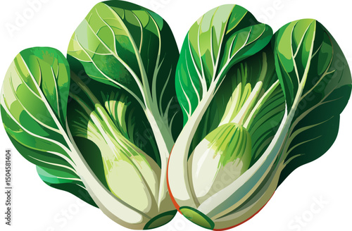 Fresh halved raw bok choy close up on, A halved bok choy with crisp stalks on a white background 