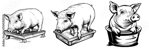 Icon set featuring playful illustrations of pigs in various settings and positions