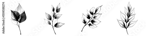 Collection of artistic icon set featuring various leaf designs in black and white highlighting nature's elegance and diversity in form
