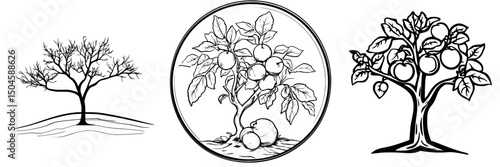 Collection of hand-drawn tree icons showcasing different stages of growth and fruit bearing for design projects