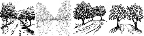 Illustrative icon set depicting various tree-lined paths in a natural landscape with distinct features depicting apple, orange, and other trees