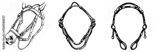 Detailed icon set of equestrian equipment featuring halters, bridles, and other horse gear for instructional and design use