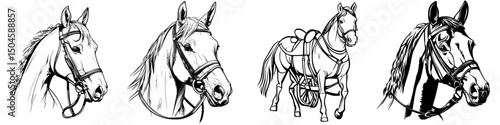 Collection of horse icons showcasing different styles and harnesses in a simple and elegant design