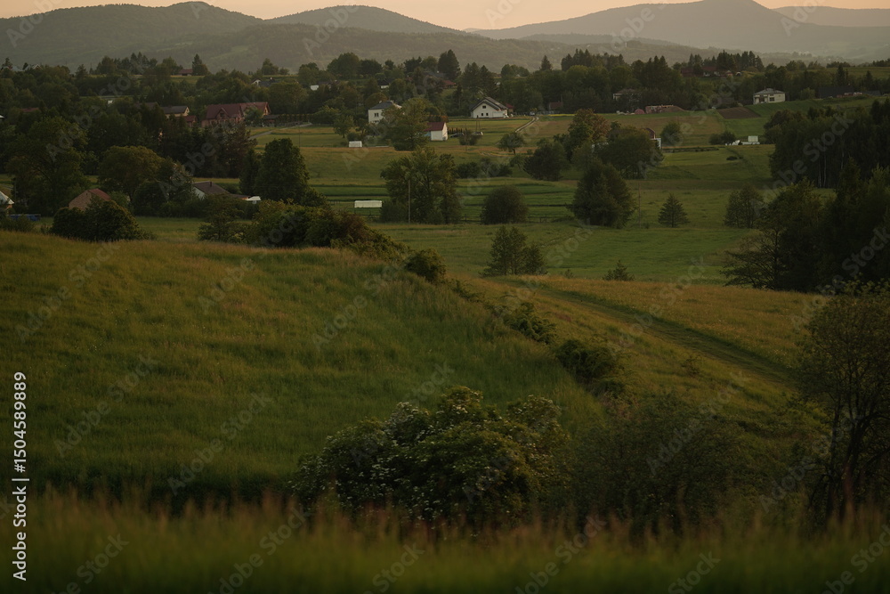 Fototapeta premium landscape with green fields