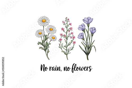 No Rain No Flowers - Floral positive quote Sublimation Design