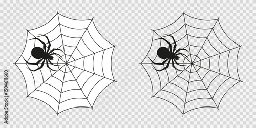 A black spider sits on a web. Decor for Halloween. Vector illustrations EPS10